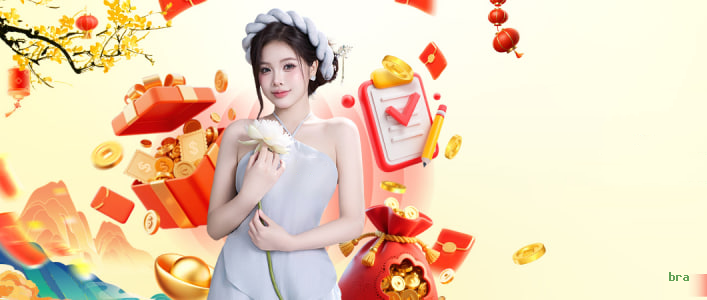 Interface do Aplicativo bra - Design Premium e Intuitivo